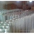 Welded Wire Mesh/Security Fence/Galvanized Welded Mesh